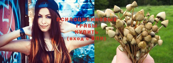 ECSTASY Аркадак