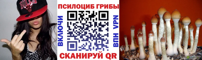 KRAKEN маркетплейс  Пыть-Ях  Галлюциногенные грибы Cubensis  закладки 